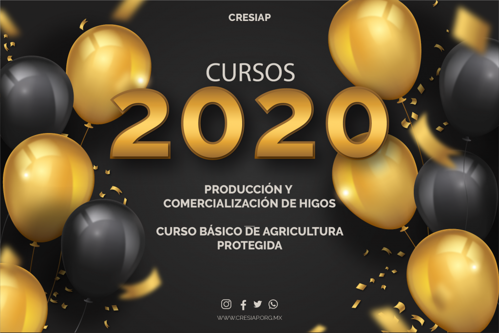 CURSOS 2020